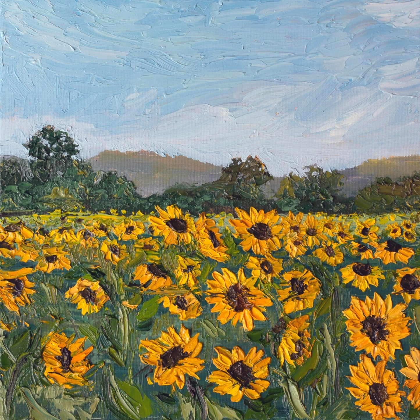 Sunflower Field